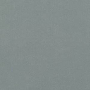 Tkanina kirkbydesign 29 Smooth III ze wzorem Płótno