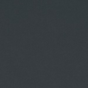 Tkanina kirkbydesign 60 Smooth III ze wzorem Płótno