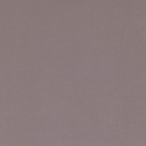Tkanina kirkbydesign 84 Smooth III ze wzorem Płótno