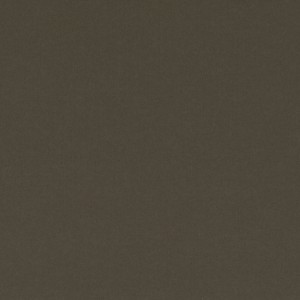 Tkanina kirkbydesign 04 Smooth III ze wzorem Płótno