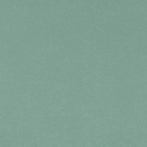 Tkanina kirkbydesign 17 Smooth III ze wzorem Płótno