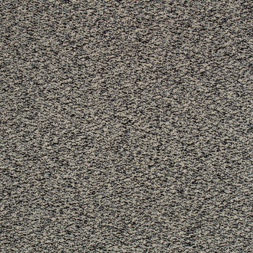 f0aba84f6d1359a6aa81160f1c6f762a