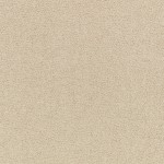 Tkanina kirkbydesign 11 Surface FR ze wzorem Tekstura