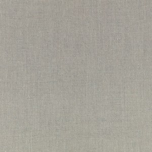 Tkanina Timeless Plains 21 Heritage Linen ze wzorem Płótno