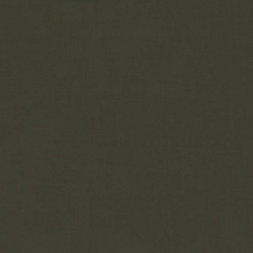36ac75c2a66802a9cdab785f454d927e