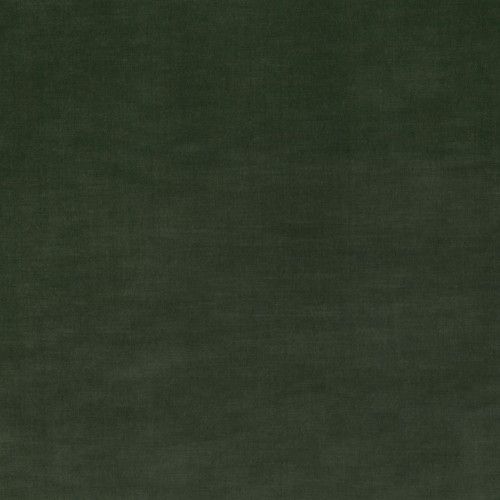 c53000a03dd065859345902117b6d44d