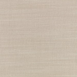 Tkanina Veranda II 02 Canvas ze wzorem Tekstura