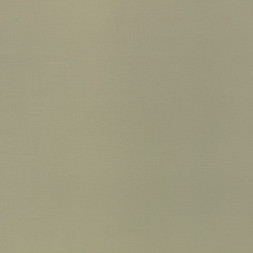 973519f4d88750ef2d4ecc41e7490ae2