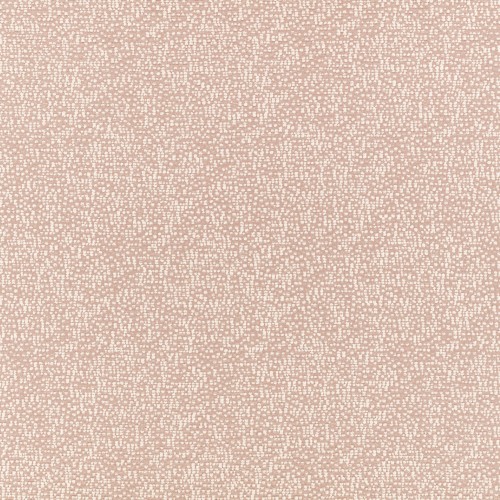 e88e4891c385cb5a41a50d4d609e1acc
