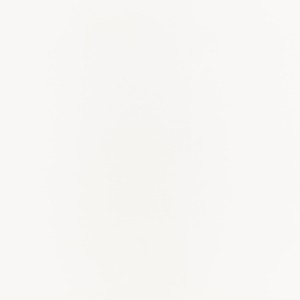 Tkanina Villa Nova 01 Florence ze wzorem Płótno