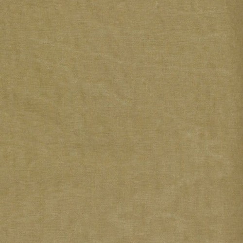 401a74bc431c21dd18037200965b7fc1