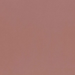 Tkanina Kasian & Ilia 43 Kasian ze wzorem Tekstura