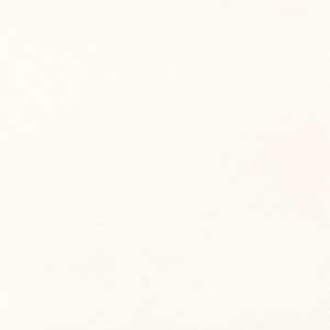 Tkanina Kasian & Ilia 03 Ilia ze wzorem Tekstura