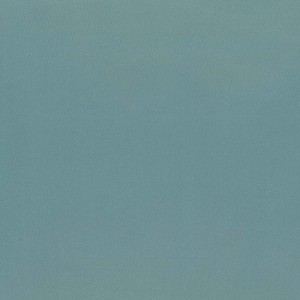 Tkanina Kasian & Ilia 47 Kasian ze wzorem Tekstura