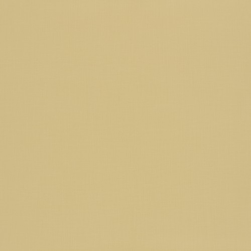 54fac35c82e7ef5aca7d5ea91d1dc8f7