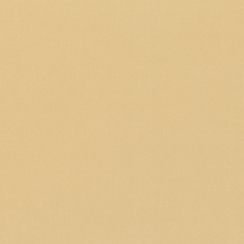 1a96cab4010e1fcb4163fa3057b564b6