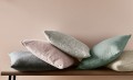 1862e93fae5382c7fcc423404d6cb3db