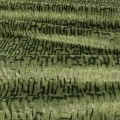 608dc5371e075753c56463e7dbf4170a