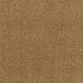 e219f38588c960a43dd0480bcbb123f2