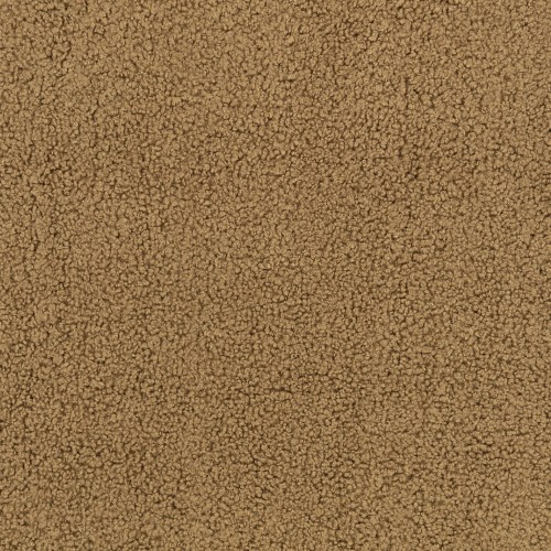 e219f38588c960a43dd0480bcbb123f2