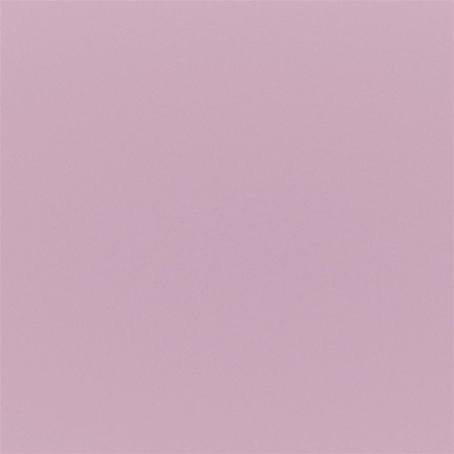 cd86579633fdea774d6c44cae7f4be4a