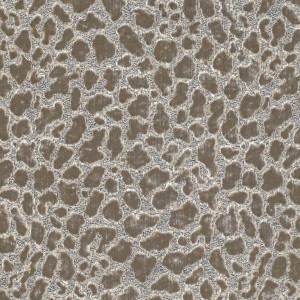 Tkanina Lobby Velvets 02 Ocelot ze wzorem Panterka