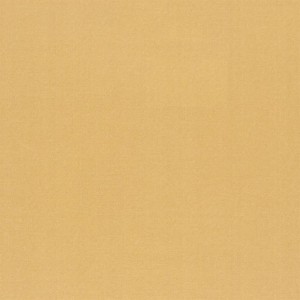 Tkanina Designers Guild Tiber III Topaz F1736/10