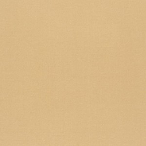 Tkanina Designers Guild Tiber III Champagne F1736/09