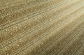 b7719dc02078e0d70c5f4290b44fe5b9