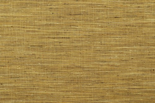 8087d14bddfb0e5974fdbeb68afce977