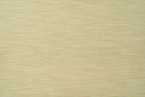 2d2f1a9a0441e5106d803dc709543751