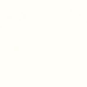 Tkanina Designers Guild Tiber III Snow F1736/66