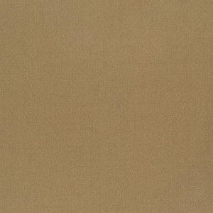 Tkanina Designers Guild Tiber III Reed F1736/60