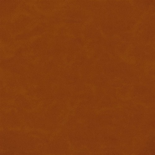 14181a53aeea00a31721a09afac8f7d6