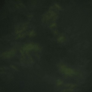 Tkanina Designers Guild Matara II Lucida Forest FDG2889/20