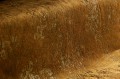 4d6414609adb6e7d1680f0fe0427d0c1