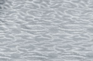 Tkanina Fischbacher 1819 501 Ascona ze wzorem Tekstura