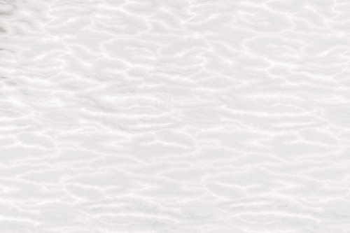 895a6ad5d570bc447ae87c39b23b4c58