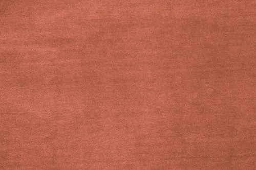 2b5f48144dd9b785a79065dd4c512008