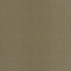 Tkanina Designers Guild Velluto Roebuck FDG2705/05