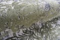 5f8ca63df6df587a39ce2029f26edadd