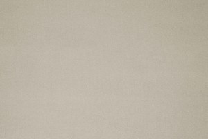 Tkanina Fischbacher 1819 117 Alakazam ze wzorem Tekstura