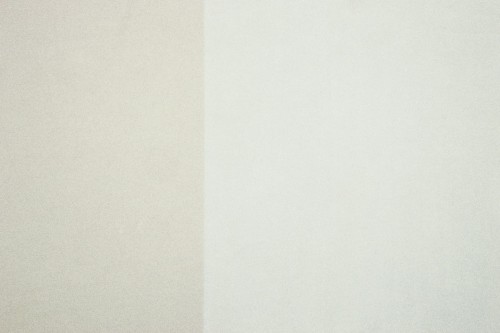 ff51dfde8bd9365d4c3c8b72684bf2b3