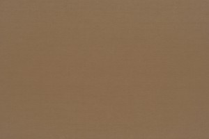 Tkanina Fischbacher 1819 147 Luna II ze wzorem Płótno