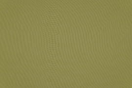 9a8c8839593e39251aea101f6bac71e7