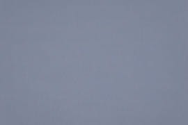 Tkanina Fischbacher 1819 141 Madrid CS IV ze wzorem Płótno