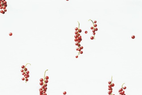 bb5ef44f705fbefebeedd56959c03dbf