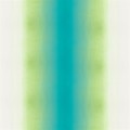 2c2acf9423092ae5dcc14e61e5175af9