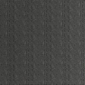 Tkanina Designers Guild Palme Botanique Outdoor Pompano Outdoor Noir FDG2870/04