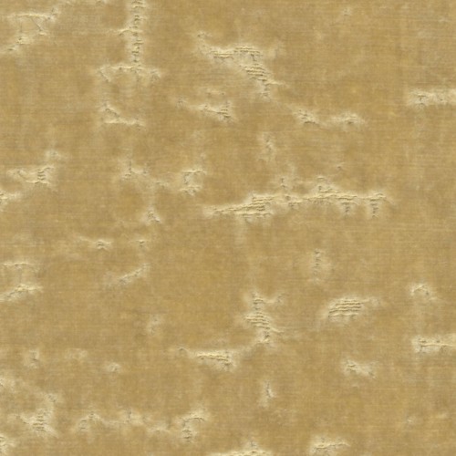ec7567e59c5eeaaf14cde6224542f89e